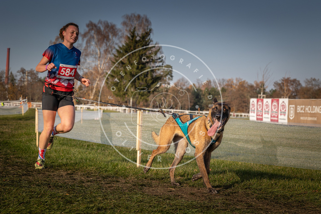 CaniXpix_0L8A9911 | Hundefotografie, Tierfotograf, Pfotenfotografie, Fotoshooting Hund, Hunde Portrait, Hundesport, Hundeportraits, Heideshooting, Hunde, Sportfotograf, Hundefotograf, Turnierhundsport, THS,  - Realisiert mit Pictrs.com