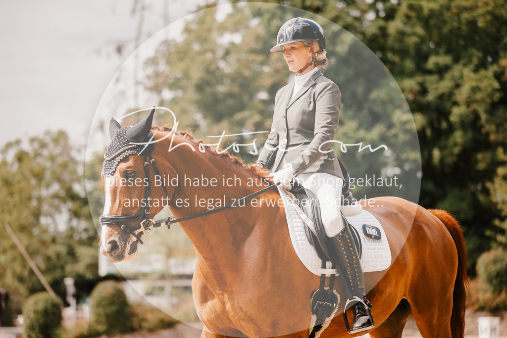 3I6A6050 | Stimmungsvolle Portraits und Reitsportfotografie im Ruhrgebiet und im Münsterland.

Pferdefotografie, Hundefotografie, Tierfotografie, Reportagen, Portraits von Tier und Mensch, Turnierfotografie in Bochum, Recklinghausen, Marl, Haltern am See, Dülmen.. - Realisiert mit Pictrs.com
