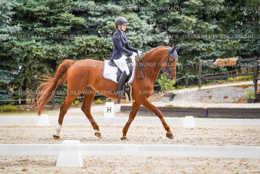 DSC03098 | Pferdegrafie