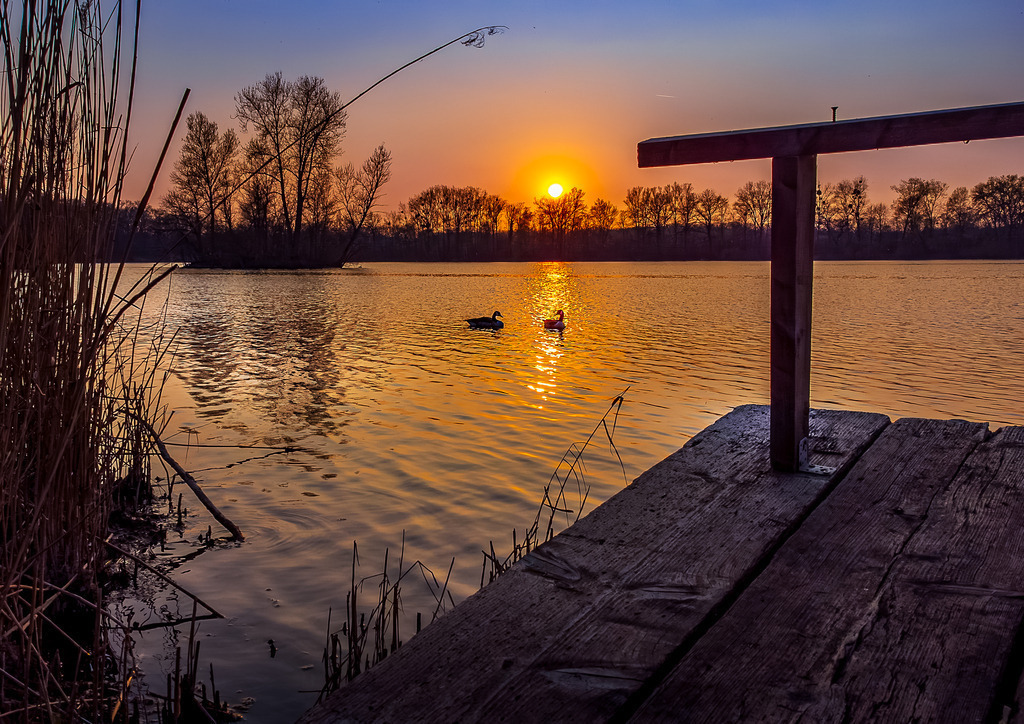 MPI_Wasser_0015 | Zwei verliebte Wildenten im Sonnenuntergang am wunderschönen Leutesheimer Baggerseee  - Realisiert mit Pictrs.com