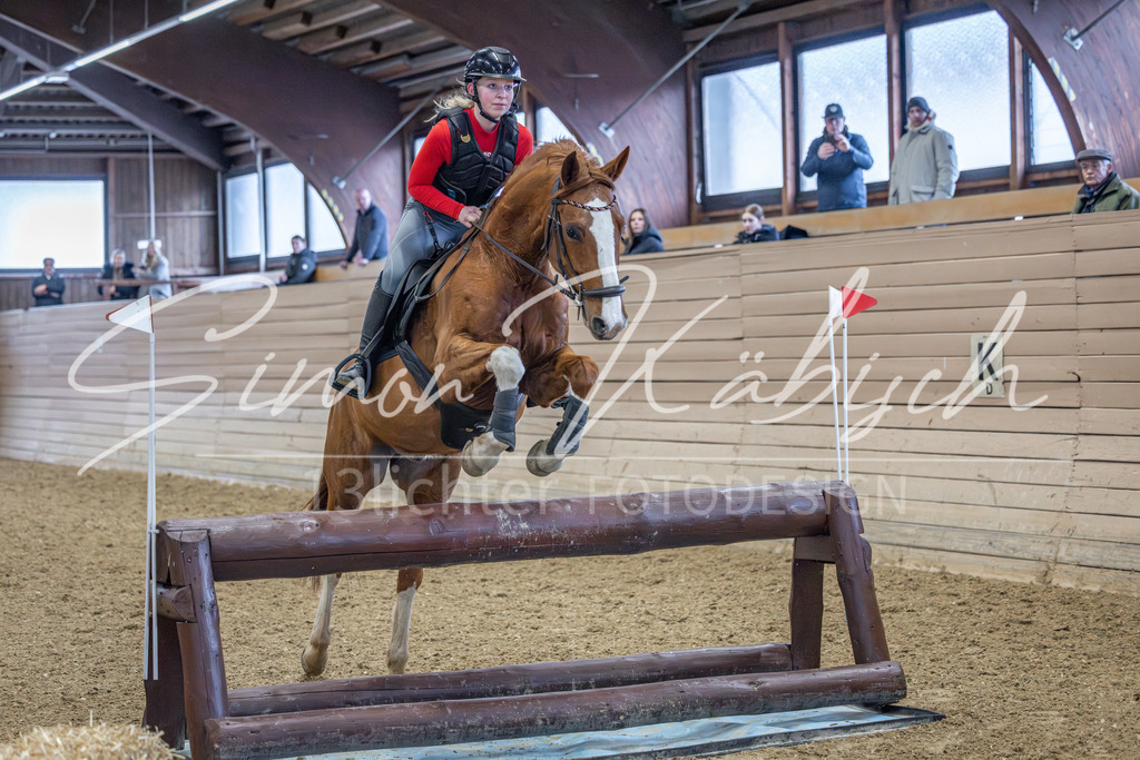 20260221-_3LI9340 | Tierfotografie Pferde, Hunde, Katzen, Haustiere.
Turnierfotografie Reitturniere, Reiten, Springreiten, Dressur in Hanau, dem Main-Kinzig-Kreis und dem Rhein-Main- Gebiet um Frankfurt