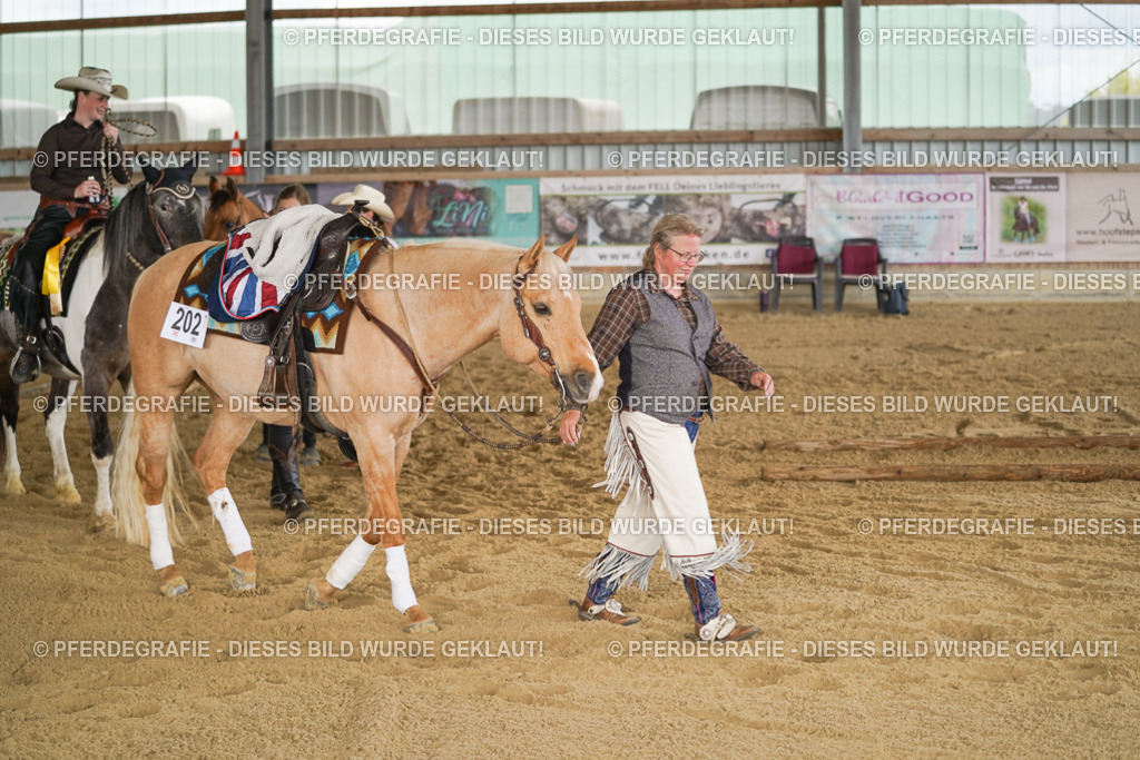 DSC05390 | Pferdegrafie