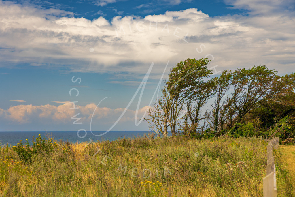 2023-07-24 Ostsee Ahrenshoop 005-HDR | Schwotte Media - Realisiert mit Pictrs.com