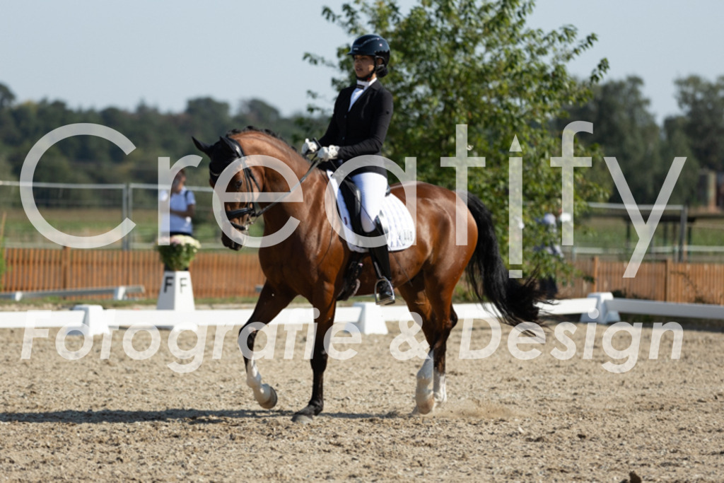 IMG_6004 | Creatify Fotografie