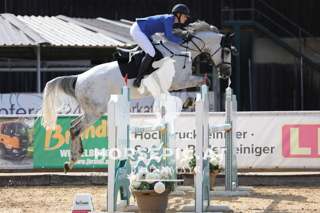 0P6A5436 | Willkommen bei Brunnmayr - Design & Fotografie – Ihrem Spezialisten für Reitturniere und Pferdeveranstaltungen in Oberösterreich, Salzburg und Bayern! Seit über 17 Jahren sind wir leidenschaftlich dabei.