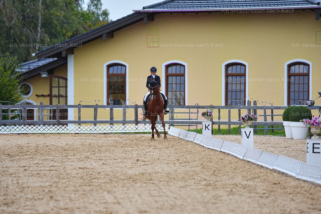 8_1-223-Klasse S_  -Marixx-4284 | working equitationturnier fotograf videograf stoibphotography marixx film working equitation deutschland reitsport turnierfotografie eventfotografie equestrian events