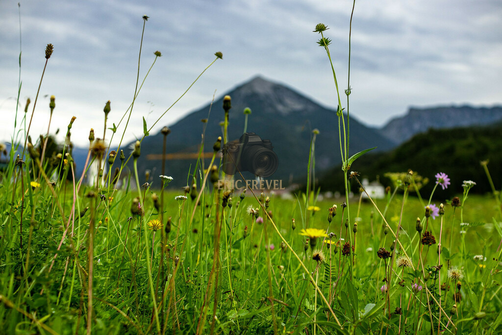 IMG_7151 | Photography by Eric Frevel - Realisiert mit Pictrs.com