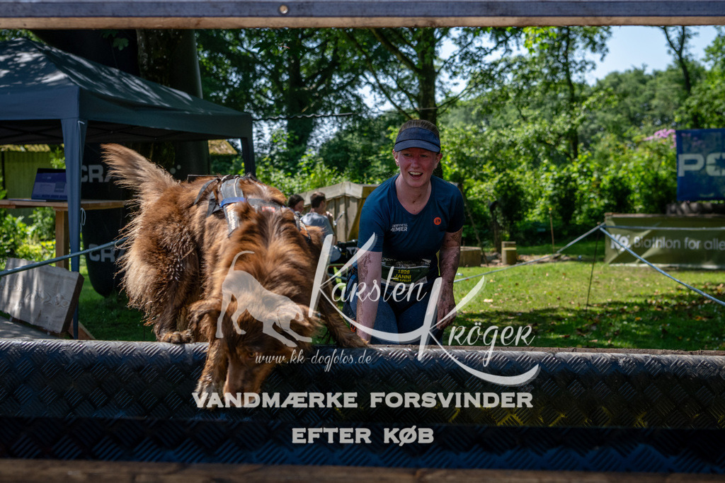 1247_ZZ92440 | kk-dogfotos