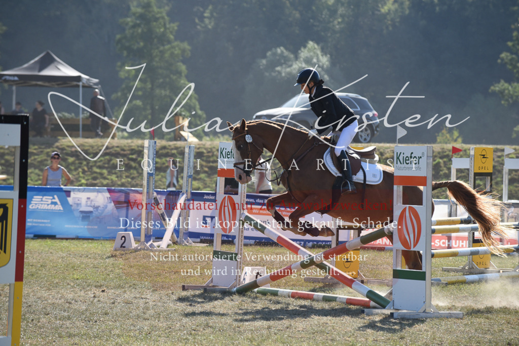 DSC_5967 | Pferde- und Turnierfotografie in Westsachsen. Pferdeportraits, Auftragszeichnungen und intuitive Kunst.