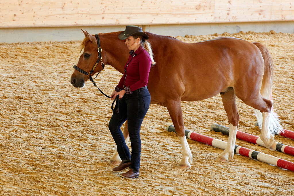 2020_07_19 Schweizersbild 137 | Peter Fridle Fotografie - Realisiert mit Pictrs.com