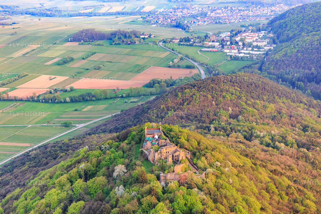 Luftbild: Burgruine Madenburg auf einem herbstlich verfärbten Berg des Pfälzerwalds aus Norden in Eschbach im Bundesland Rheinland-Pfalz in Deutschland. Foto: IMG_106863.jpg vom 21.04.2018 durch Werner Riehm/FLY-FOTO.de