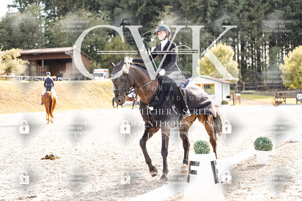 CK901819 | Turnierfotografie Pferdefotografie Trier Rheinland-Pfalz Pferdesport Reitsport Tierfotografie Sportfotografie Pferdevideo Pferdevideografie Equestrianvideography equestrianphotography  - Realisiert mit Pictrs.com