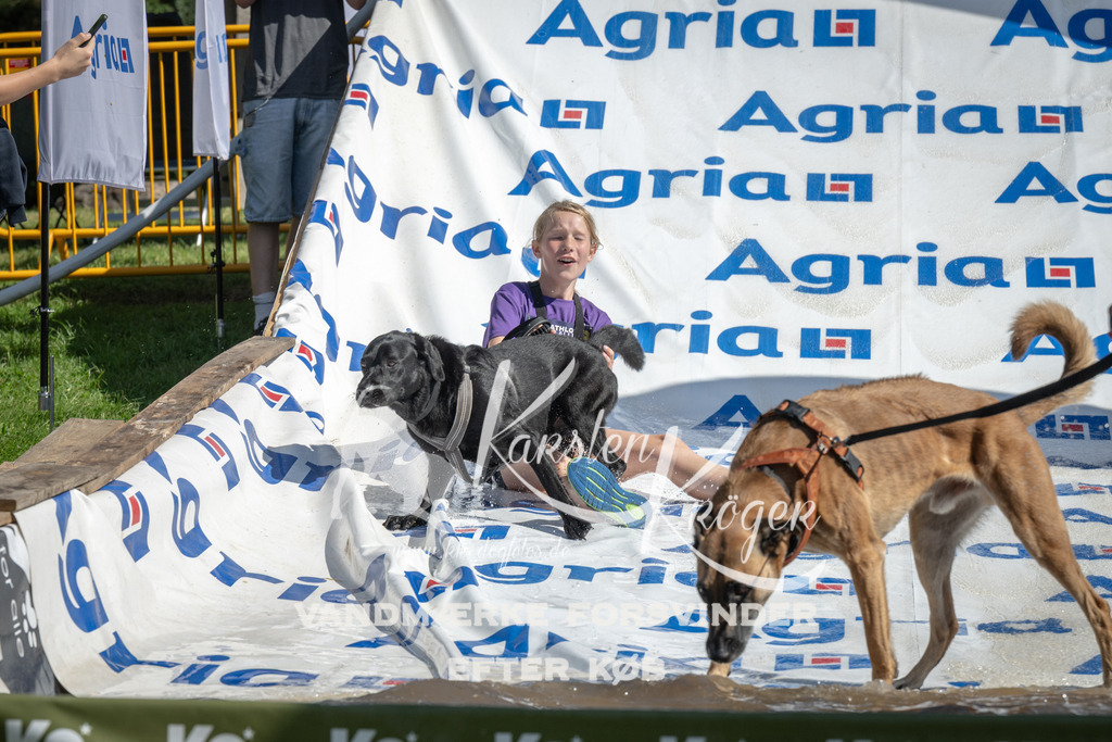 1137_ZZ93130 | kk-dogfotos