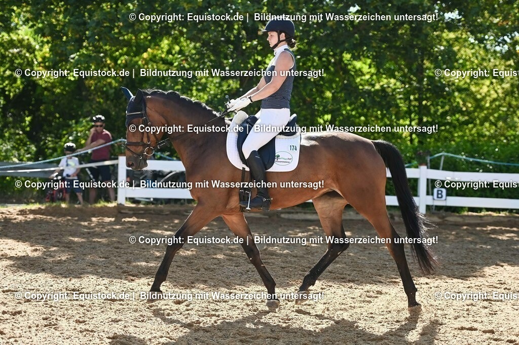 20230715_06_Dressurpferdeprfg. Kl.A_0390 | equistock