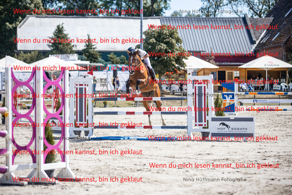 BK1A6366 | Turnierbilder Turnierfotos Nina Hüffmann Turnierfotografie Pferdefotografie Tierzeichnung Haustierzeichnung Pferdezeichnung Hundezeichnung Videograf  - Realisiert mit Pictrs.com