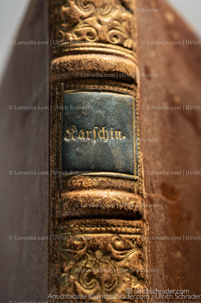 _ulrichschrader.com-223 | Stockfoto und Bilderpool mit Bildmaterial aus Deutschland, dem Harz, Halberstadt, Quedlinburg, Wernigerode und weltweit. Qualitativ hochwertige und professionelle Fotos anschauen und kaufen. - Realisiert mit Pictrs.com