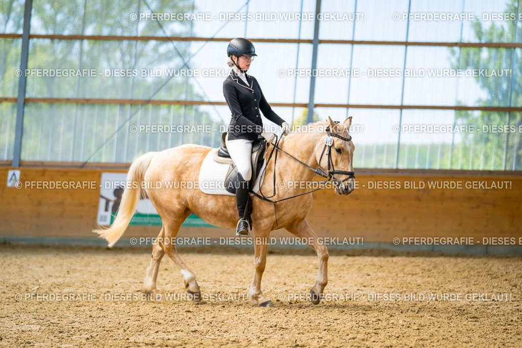 DSC09325 | Pferdegrafie