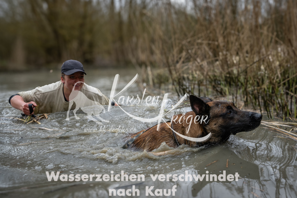 1130_ZZ99683 | kk-dogfotos