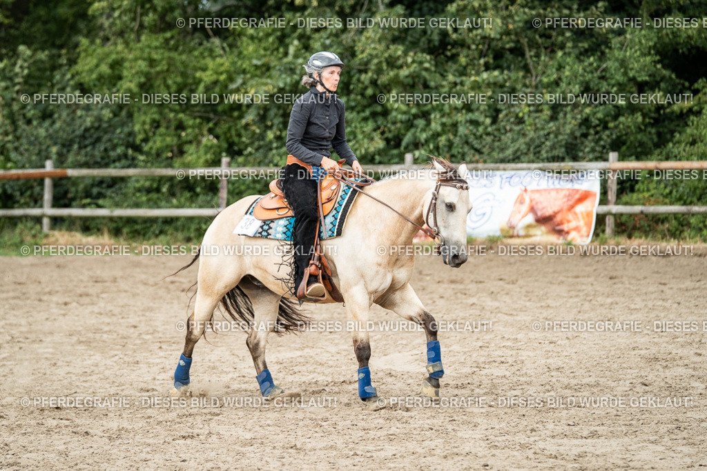 DSC02209 | Pferdegrafie