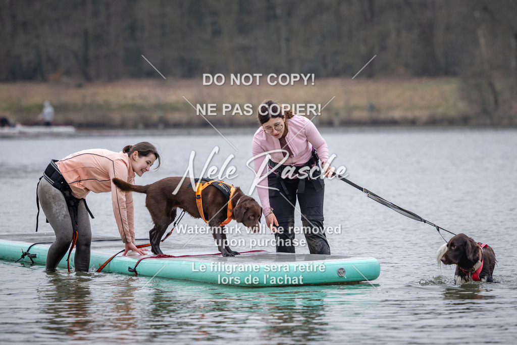 nelerasche_Hulsbeek_Sa1600-1700_171 | nelerasche