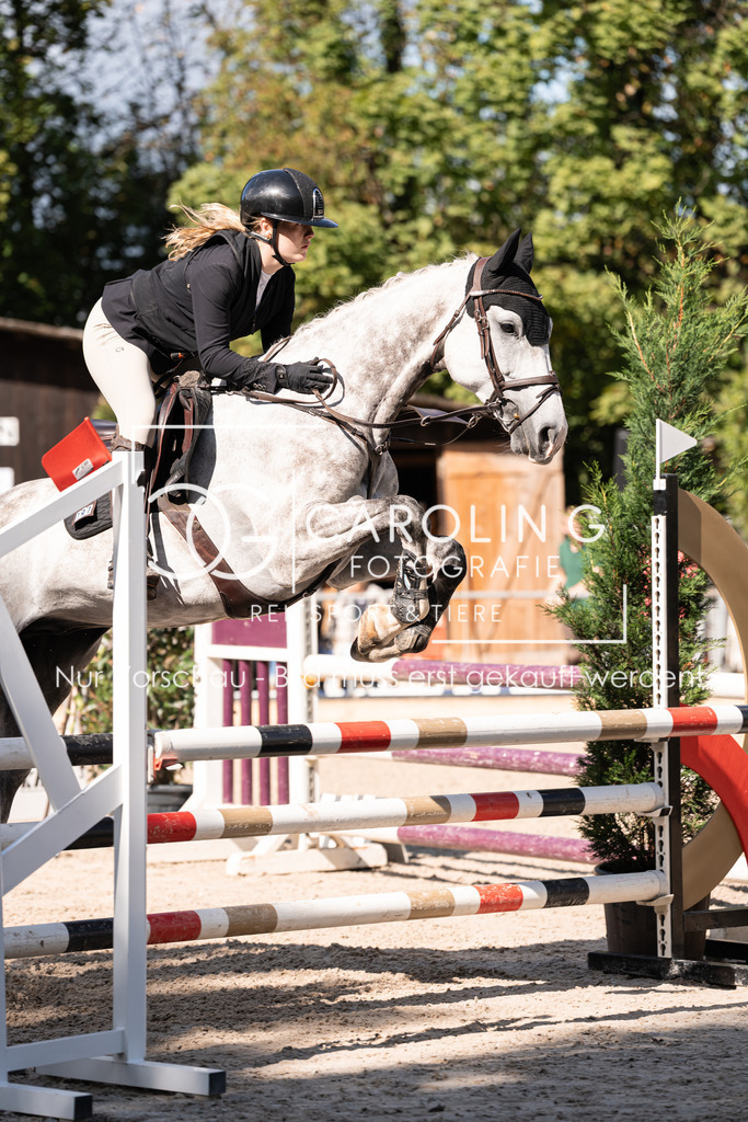 DSC03594 | Carolin Gieschke