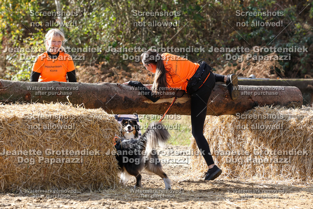 Dog Paparazzi - Strongdog 10-25-5923 | Dog Paparazzi Jeanette Grottendiek Fotografie & Videografie - Realisiert mit Pictrs.com