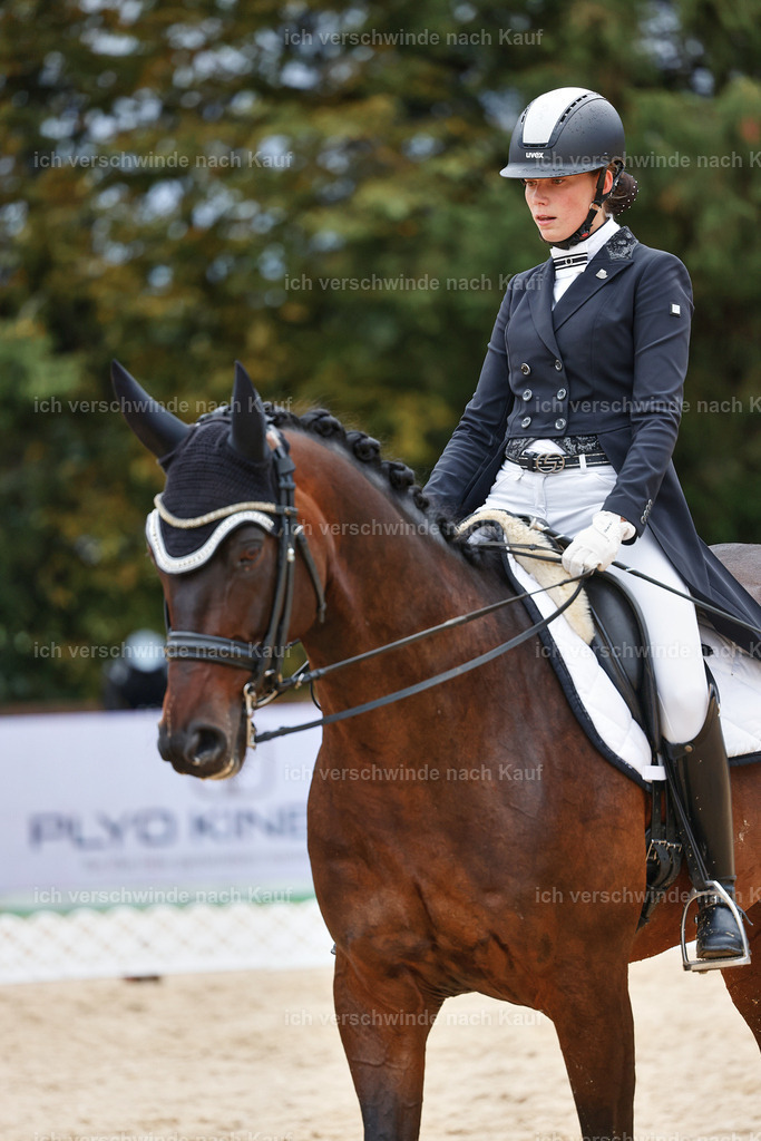 8_2-088-DRESSUR S_  -StoibPH-4440 | working equitationturnier fotograf videograf stoibphotography marixx film working equitation deutschland reitsport turnierfotografie eventfotografie equestrian events