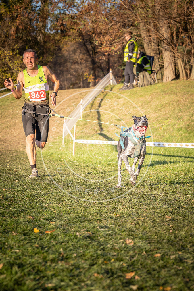 CaniXpix_0L8A0962 | Hundefotografie, Tierfotograf, Pfotenfotografie, Fotoshooting Hund, Hunde Portrait, Hundesport, Hundeportraits, Heideshooting, Hunde, Sportfotograf, Hundefotograf, Turnierhundsport, THS,  - Realisiert mit Pictrs.com