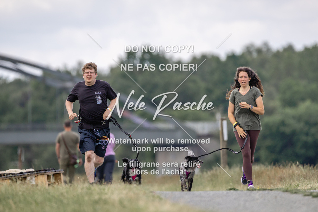 nelerasche_BuHu2026_SaCC1100-1200_161 | nelerasche