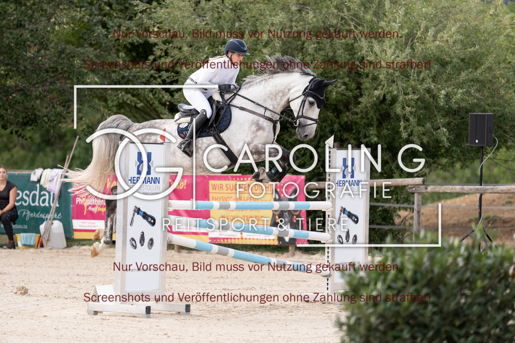 DSC06600 | Springturnier_Teamchallege_Talheim_2026, Clarissa_Schwär, Chouchou_vd_Axelhoeve