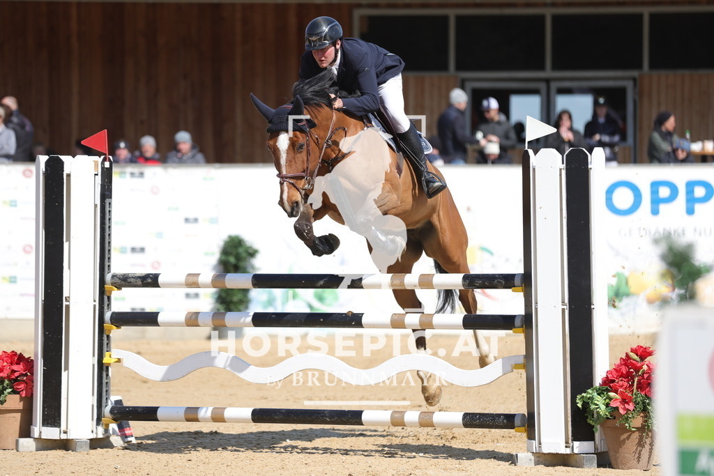 0P6A0880 | Willkommen bei Brunnmayr - Design & Fotografie – Ihrem Spezialisten für Reitturniere und Pferdeveranstaltungen in Oberösterreich, Salzburg und Bayern! Seit über 17 Jahren sind wir leidenschaftlich dabei.