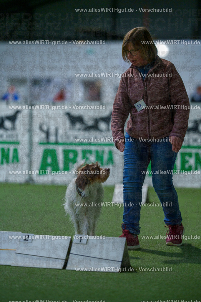 7R502199 | Professionelle Tierfotografie in Mönchengladbach von Daniel Wirth (allesWIRTHgut). Liebevolle & natürliche Bilder von Hunden & Katzen für unvergessliche Erinnerungen.