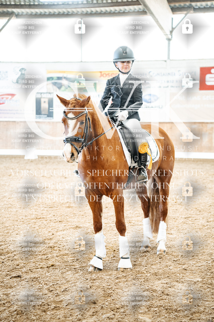 CK703022 | Turnierfotografie Pferdefotografie Trier Rheinland-Pfalz Pferdesport Reitsport Tierfotografie Sportfotografie Pferdevideo Pferdevideografie Equestrianvideography equestrianphotography  - Realisiert mit Pictrs.com