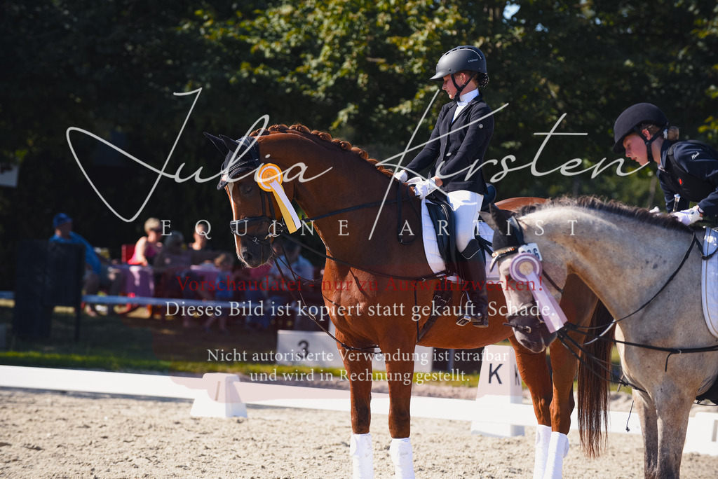 DSC_0220 | Pferde- und Turnierfotografie in Westsachsen. Pferdeportraits, Auftragszeichnungen und intuitive Kunst.