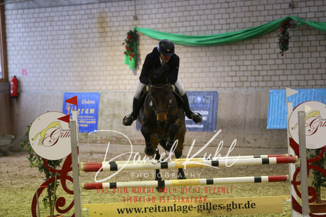 IMG_0800 | Deine Turnierfotos vom Reitturnier online kaufen: Dressur, Springen & Siegerehrung. Professionelle Pferdefotografie aus dem Rheinland – als Download & Print.Alternative: Turnierfotograf für den Pferdesport: Finde deine Fotos von Dressur- und Springturnier