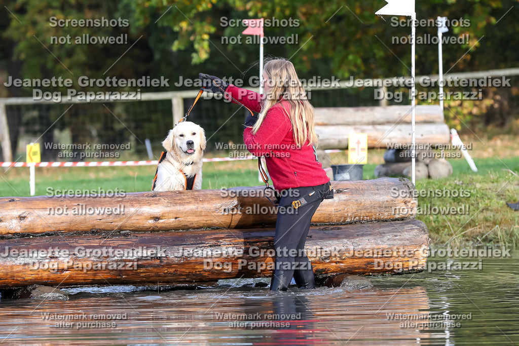 Dog Paparazzi - Strongdog 10-25-8224 | Dog Paparazzi Jeanette Grottendiek Fotografie & Videografie - Realisiert mit Pictrs.com