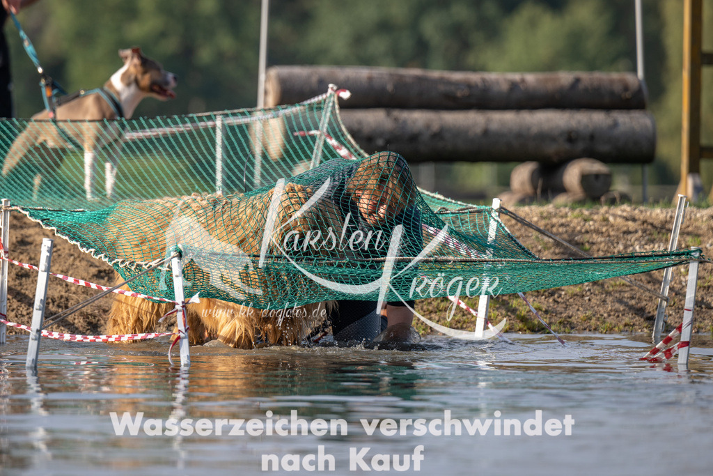 1039_ZZ94398 | kk-dogfotos