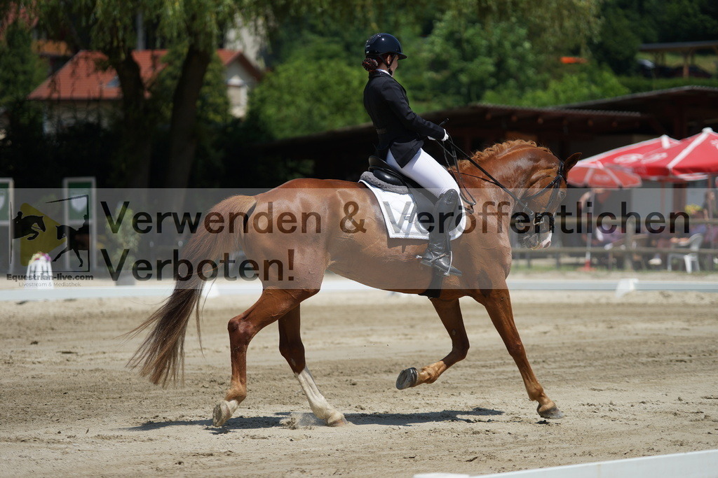 DSC04884 | equestrian-live-com