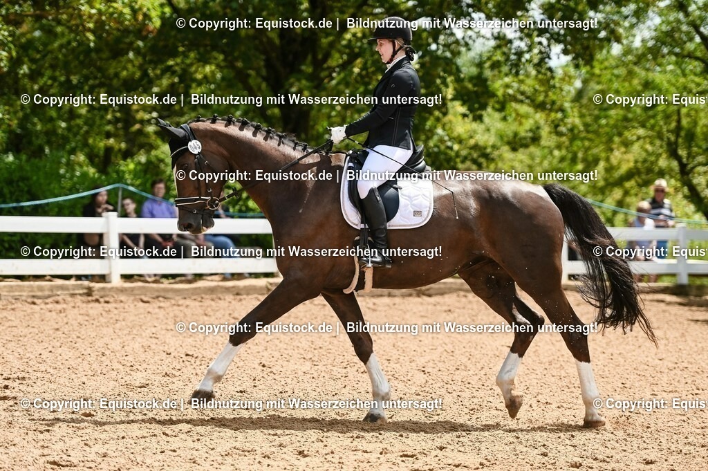20230716_03_Dressurprfg. Kl.L - Tr._0175 | equistock