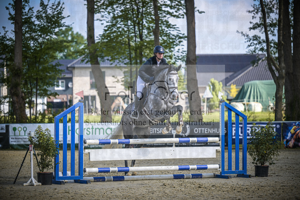 DOS_5417 | Entdecke hochwertige Reitturnierfotos von Foto Oger. Professionell, emotional und authentisch – jetzt Lieblingsmomente im Shop bestellen.Deutschlandweite Turnierfotografie. - Realisiert mit Pictrs.com