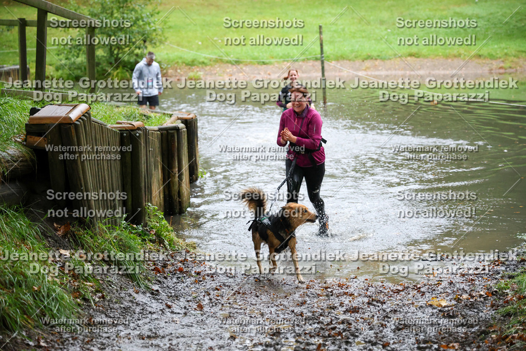 Dog Paparazzi -  SD1026-8489 | Dog Paparazzi Jeanette Grottendiek Fotografie & Videografie - Realisiert mit Pictrs.com