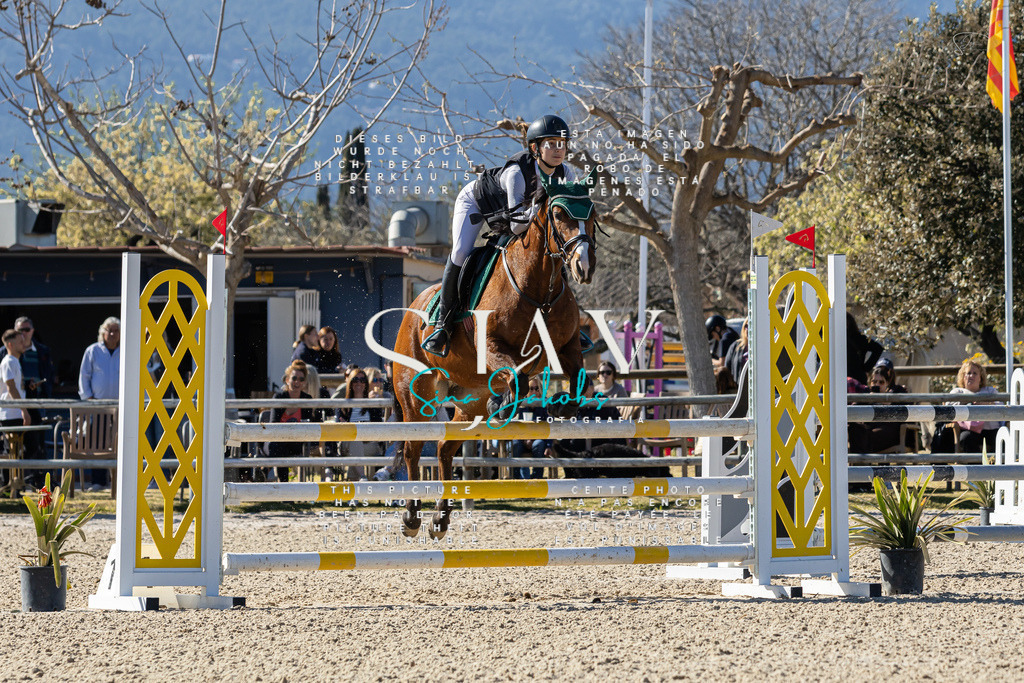 IMG_1217 | s-jay-photography - Realisiert mit Pictrs.com