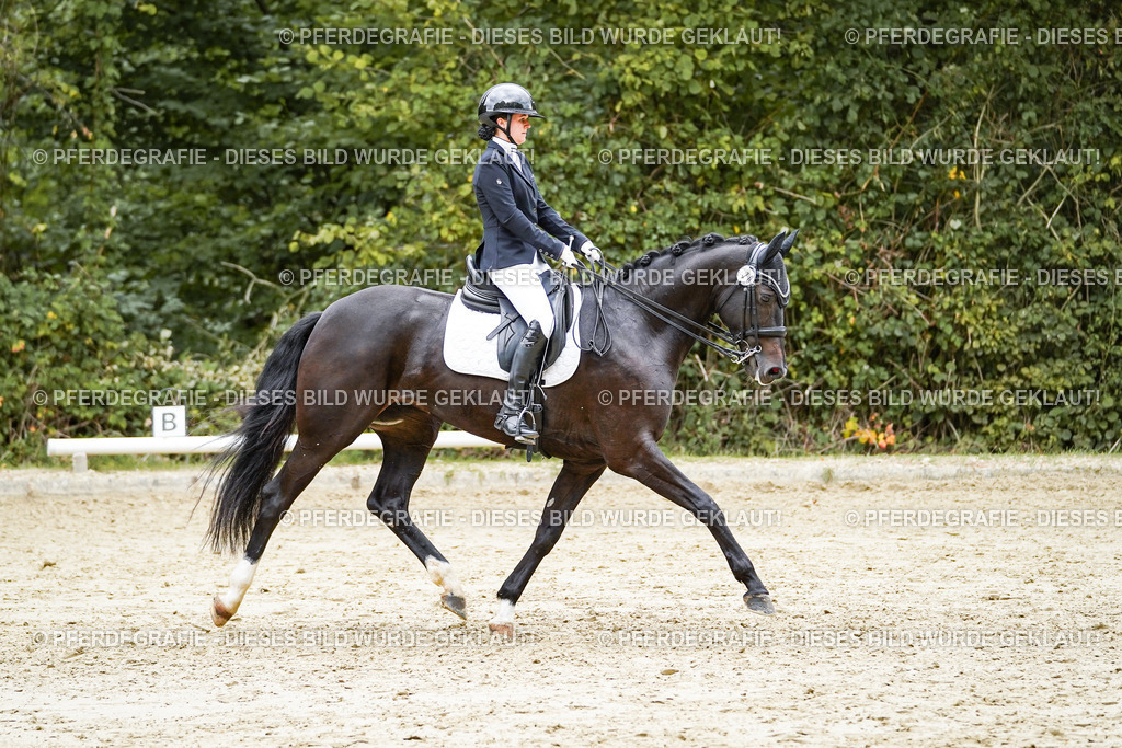 DSC07048 | Pferdegrafie