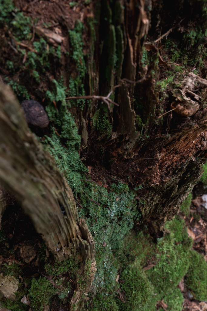 ZD250916094451 | Fotoshop von zweidimensional Fotografie. Ihr Fotograf im Aargau. Abzüge von Ihrem Fotobox Event bestellen.Abzüge von Ihrem Hochzeit bestellen.Abzüge von Ihrem Schulfotograf bestellen.