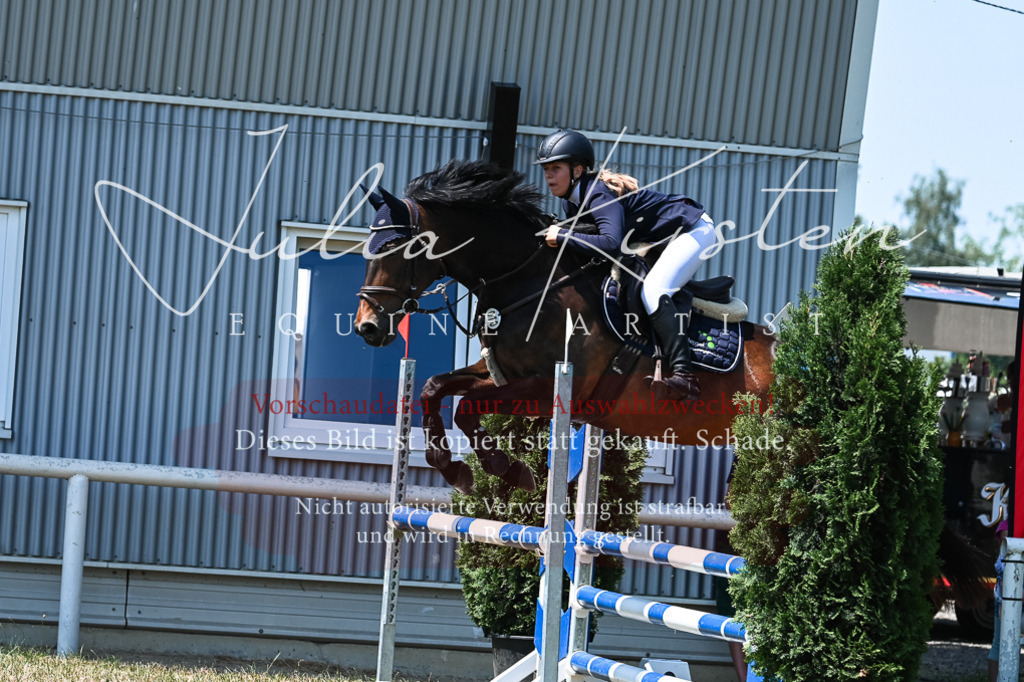 DSC_0114 | Pferde- und Turnierfotografie in Westsachsen. Pferdeportraits, Auftragszeichnungen und intuitive Kunst.