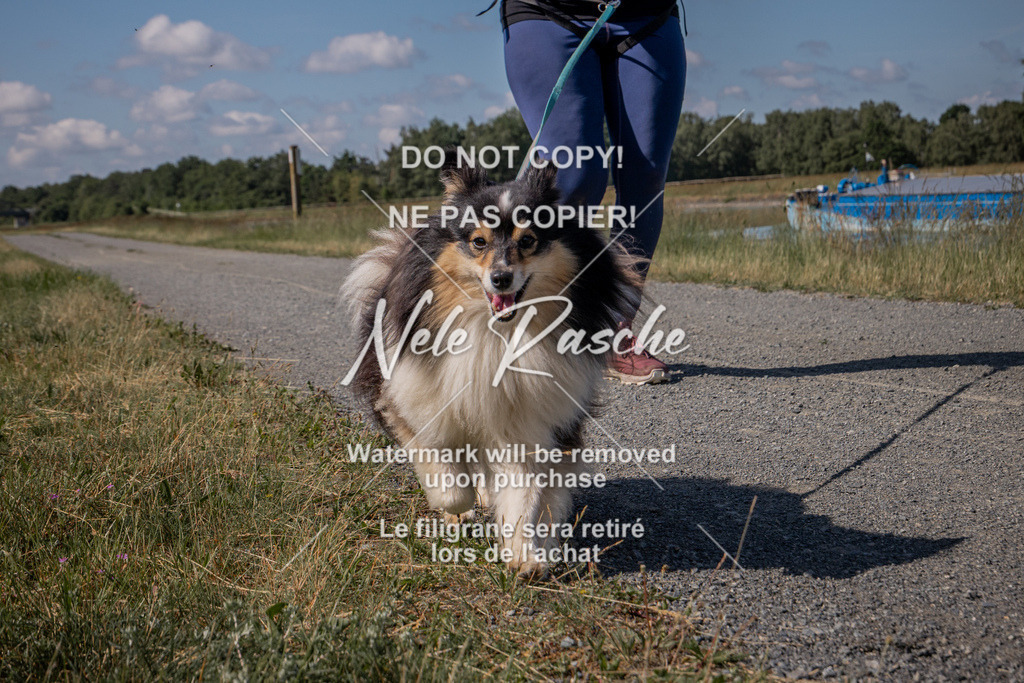 nelerasche_BuHu2026_SaCC10-11_50 | nelerasche