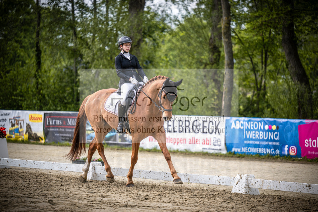 DOS_2187 | Reitturnier Venne - Realisiert mit Pictrs.com