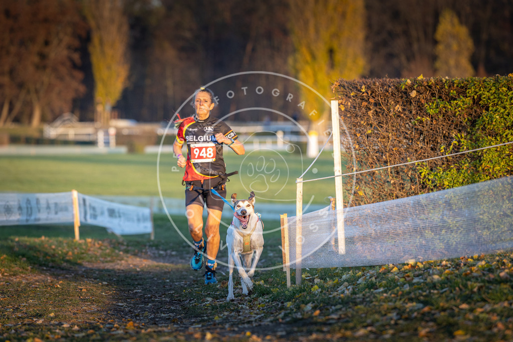 CaniXpix_DV3A5536 | Hundefotografie, Tierfotograf, Pfotenfotografie, Fotoshooting Hund, Hunde Portrait, Hundesport, Hundeportraits, Heideshooting, Hunde, Sportfotograf, Hundefotograf, Turnierhundsport, THS,  - Realisiert mit Pictrs.com