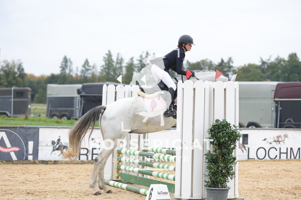 0P6A1291 | Willkommen bei Brunnmayr - Design & Fotografie – Ihrem Spezialisten für Reitturniere und Pferdeveranstaltungen in Oberösterreich, Salzburg und Bayern! Seit über 17 Jahren sind wir leidenschaftlich dabei.