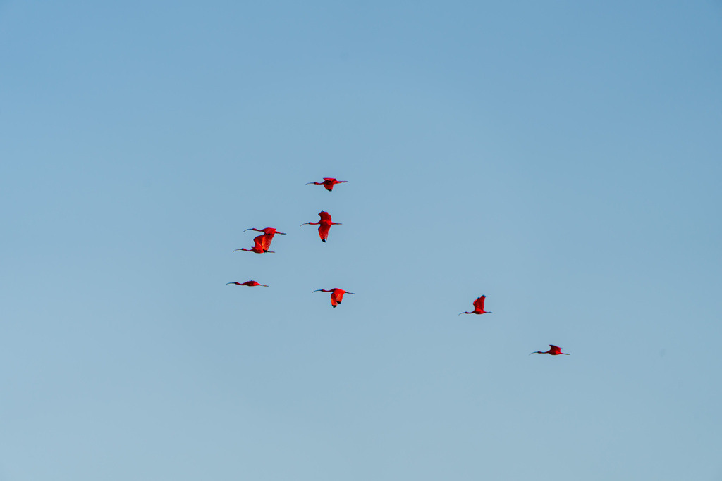 20251114-DeltaTour-0023 | paulependelt - Realisiert mit Pictrs.com